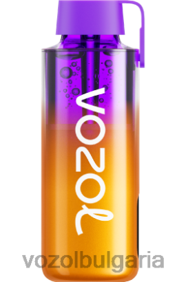 VOZOL България - VOZOL NEON 10 000 R4BP4235 смесени горски плодове
