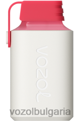 VOZOL Цена - VOZOL GEAR 600 R4BP4357 ягодов сладолед