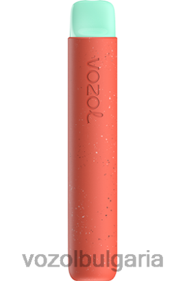 VOZOL Vape Website - VOZOL STAR 600 R4BP488 личи гуава диня