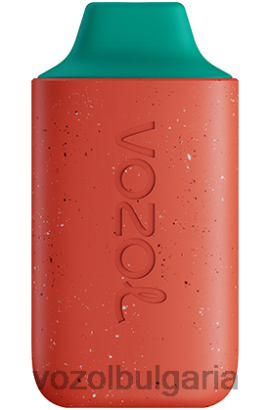 VOZOL Цена - VOZOL STAR 6000 R4BP4117 личи гуава диня